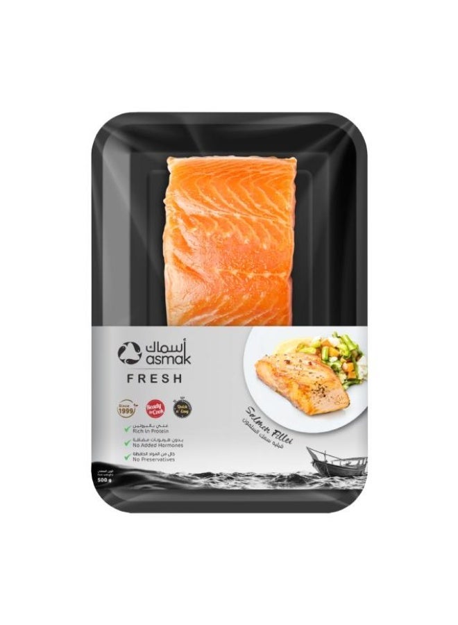 Salmon Fillet 500g