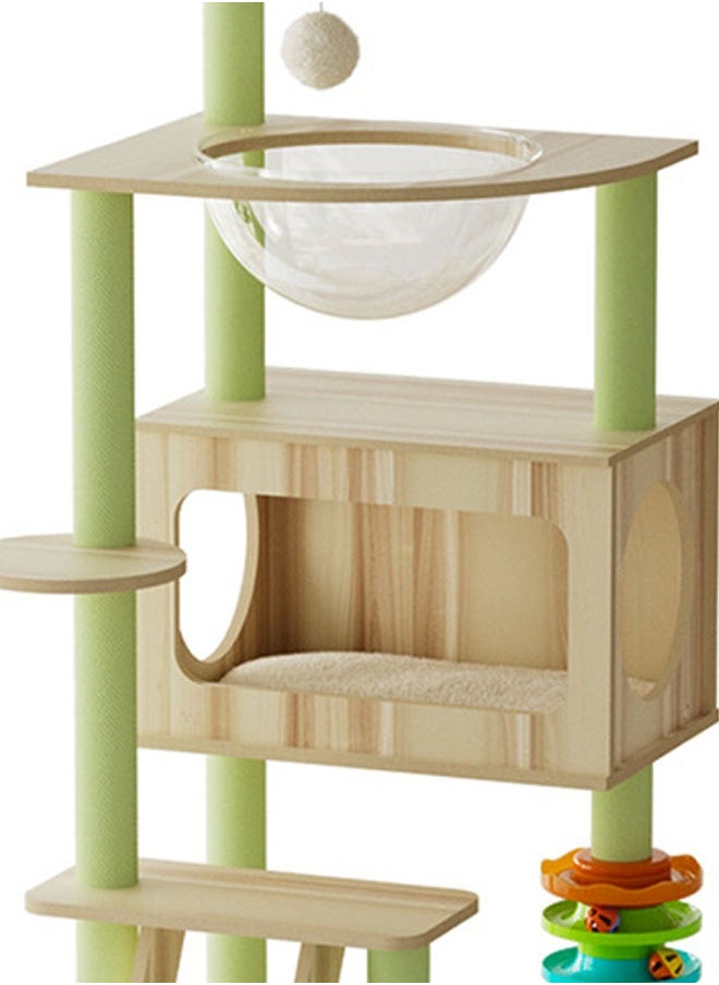 Multi-Level Kitten Play Tree with Scratching Post and Ladder