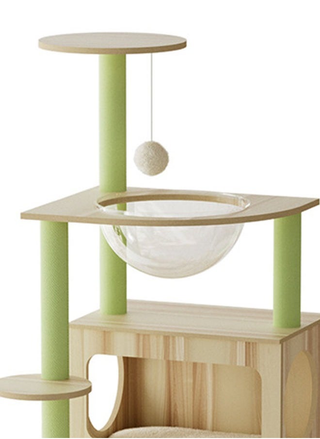 Multi-Level Kitten Play Tree with Scratching Post and Ladder