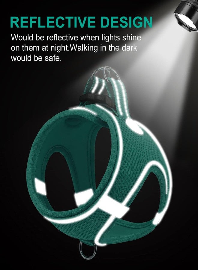 جويتيل سرج جويتيل للكلاب الصغيرة، سرج شبكي يسمح بالتهوية، سرج مبطن ناعم عاكس للضوء للكلاب الصغيرة الحجم للمشي، لون أزرق مخضر، مقاس صغير - Image 5