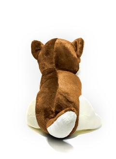 Toto Toys Plush Puppy With Ty Eyes- Black & Brown Size 35  - Image 3