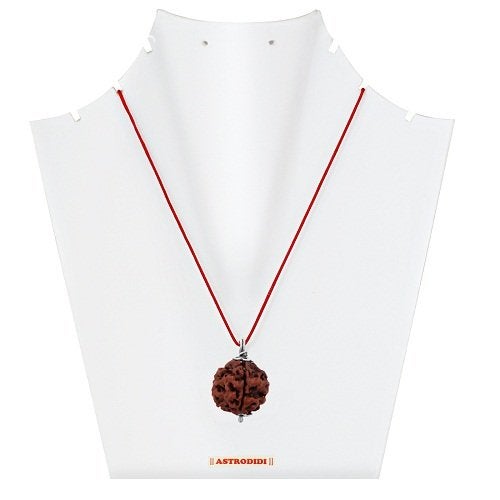 ASTRODIDI 4 Mukhi Rudraksha Original Certified Silver Plated Pendant | Natural Nepali Four Face Rudraksh | Astrological Benefits | Unisex Design for Men & Women - Image 3