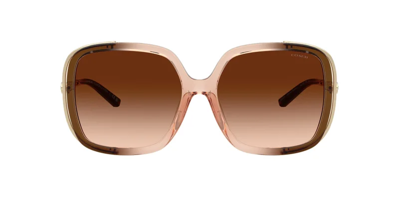 COACH Coach Woman Injected Sunglasses