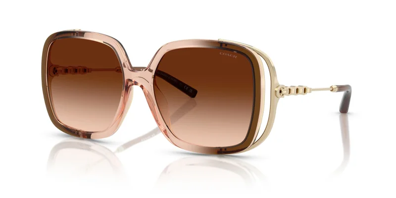 COACH Coach Woman Injected Sunglasses