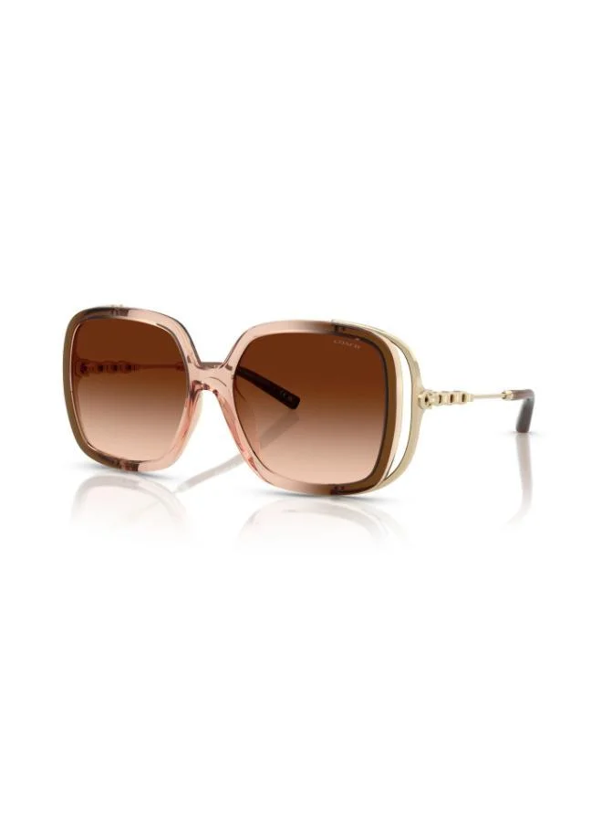 COACH Coach Woman Injected Sunglasses