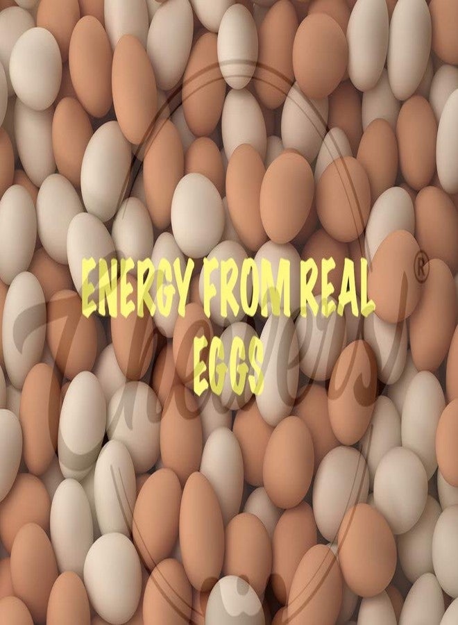 Chewers Oven Baked Real Egg Puppy Biscuits, Dog Treat 1 Kg (Pack of 2) - Image 2