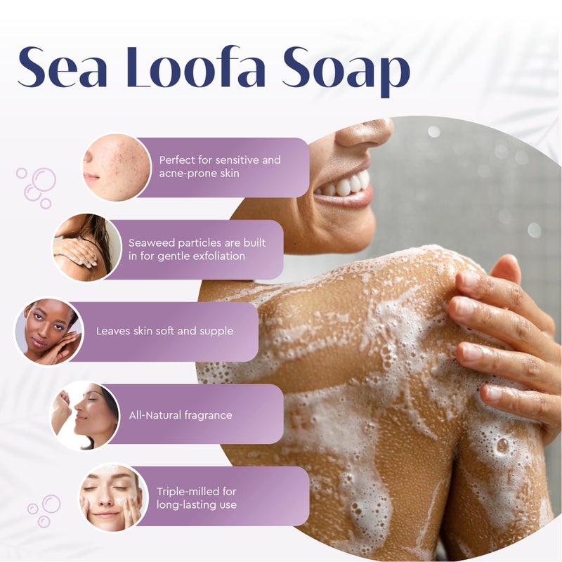 Baudelaire Exfoliating Sea Loofa Soap - Natural Fragrance - Hydrating & Moisturizing Triple-Milled Luxury, 5 oz (Pack of 6) - Image 3