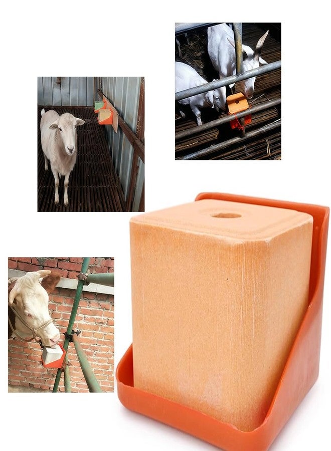 DQITJ 2 Pack Thick Salt Block Holder Mineral Brick Feeder Tray for Cattle Horse Goat Sheep (Small Size, Orange) - Image 3
