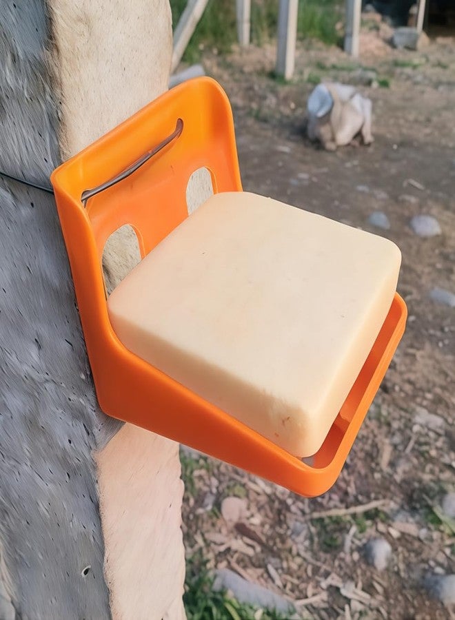 DQITJ 2 Pack Thick Salt Block Holder Mineral Brick Feeder Tray for Cattle Horse Goat Sheep (Small Size, Orange) - Image 2