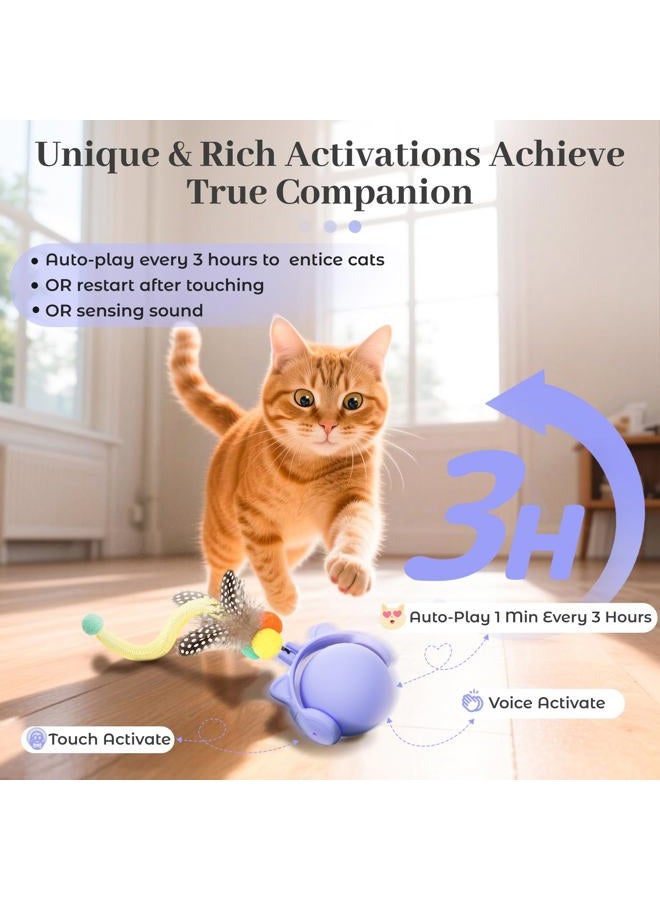 Orsda Cat Toys for Indoor Cats, New Intelligent Voice Timing Touch Control Cats Ball, Simulate Mouse Sound Kitten Toy, Automatic Interactive Moving Cat Toy for All Ages - Image 2