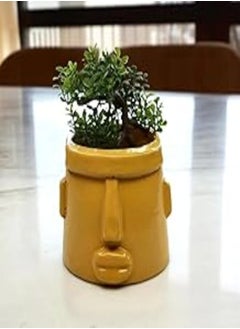 HomePro Yellow Pottery Pot - pzsku/Z89E6E26B538AF7DD507EZ/45/_/1723237690/cb879e9f-bb9e-4655-9695-aa56a2589dcd