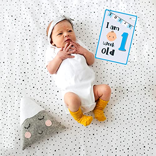Bookworm Baby Milestone Cards for Boys Colorful & Cute Designs (Total 36 Cards) - Image 4