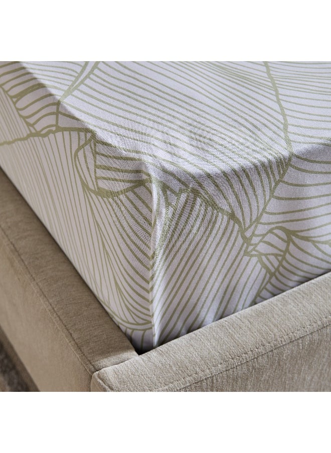 Home Box Malta Musa Printed Cotton Twin Flat Sheet - 170x260 cm  - Image 4