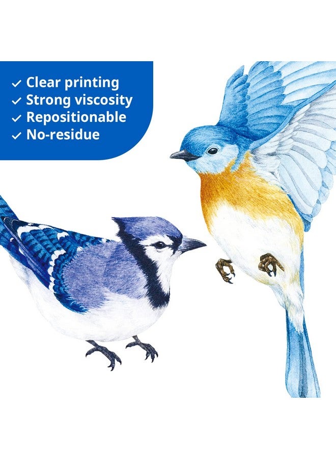 Decowall Ds28042 Little Birds Wall Stickers Wall Decals Peel And Stick Removable Wall Stickers For Kids Nursery Bedroom Living Room (Small) - Image 5