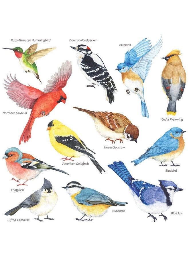 Decowall Ds28042 Little Birds Wall Stickers Wall Decals Peel And Stick Removable Wall Stickers For Kids Nursery Bedroom Living Room (Small) - Image 2