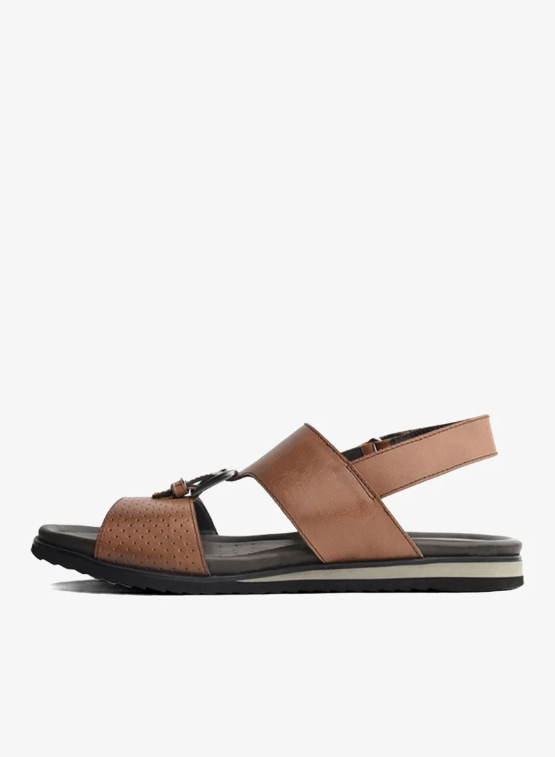 لانجوتش صنادل ميركا