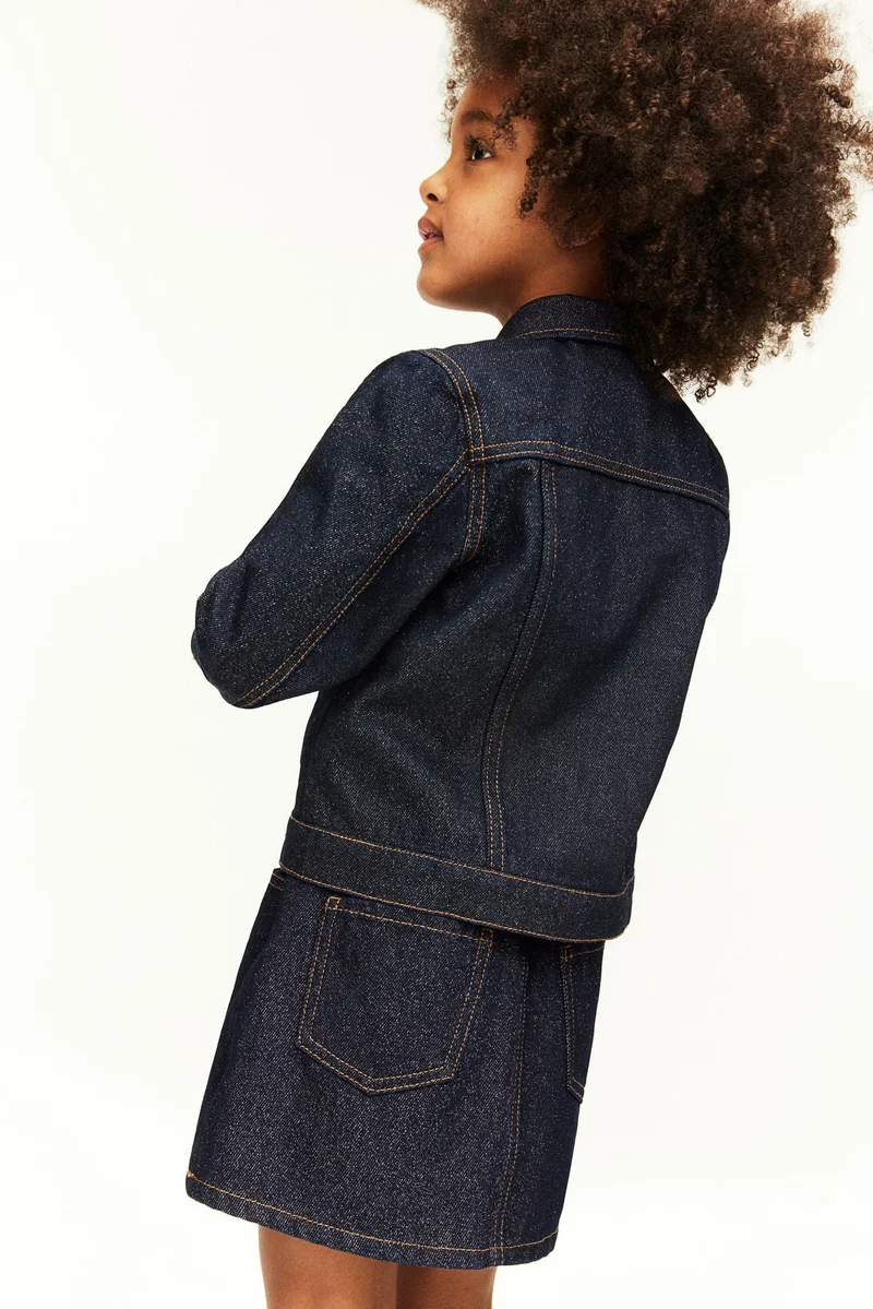 H&M Shimmering Denim Skirt