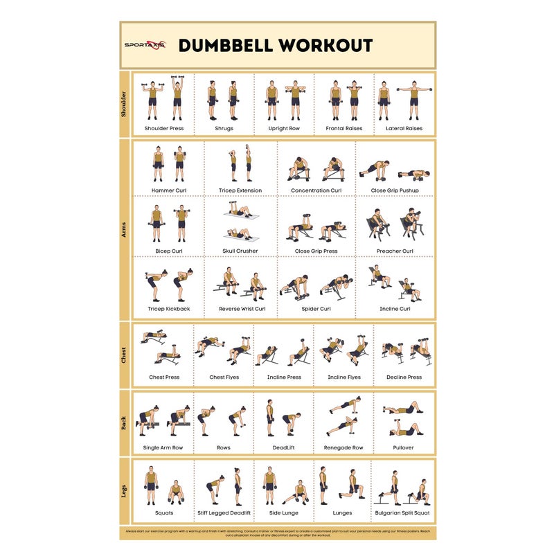 SPORTAXIS- No-Equipment Laminated Dumbbell Workout Poster with Colored Illustrations- Home Workout Poster for Men and Women - Advanced Home Training Wall Poster - Image 1