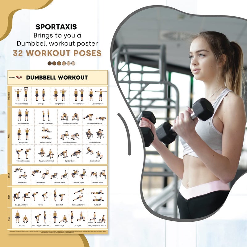 SPORTAXIS- No-Equipment Laminated Dumbbell Workout Poster with Colored Illustrations- Home Workout Poster for Men and Women - Advanced Home Training Wall Poster - Image 2