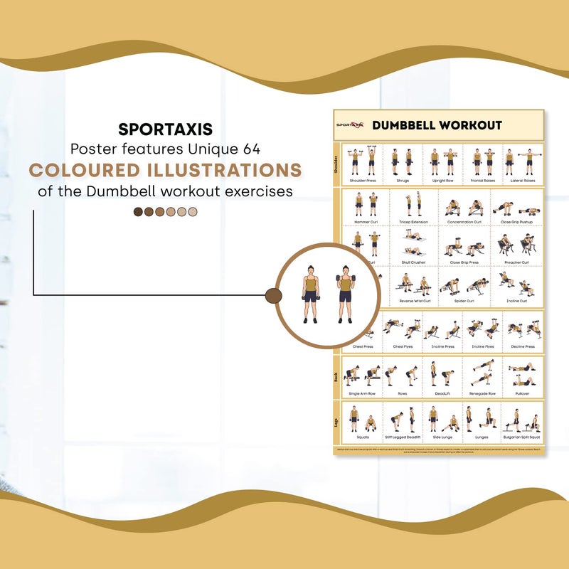 SPORTAXIS- No-Equipment Laminated Dumbbell Workout Poster with Colored Illustrations- Home Workout Poster for Men and Women - Advanced Home Training Wall Poster - Image 4