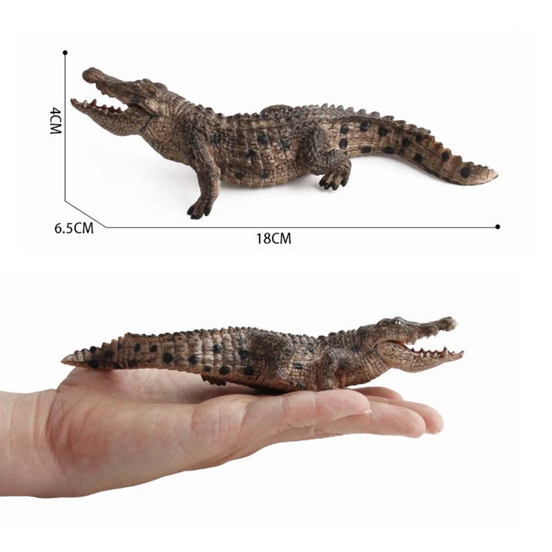 DOYIFun 2 Pcs Simulated Crocodiles Model Figure Toy, Realistic Alligator Figurines Collection Playset Science Educational Props - Image 5
