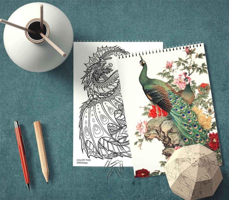 EXCLUSIVE DRAWING SKETCH - 54