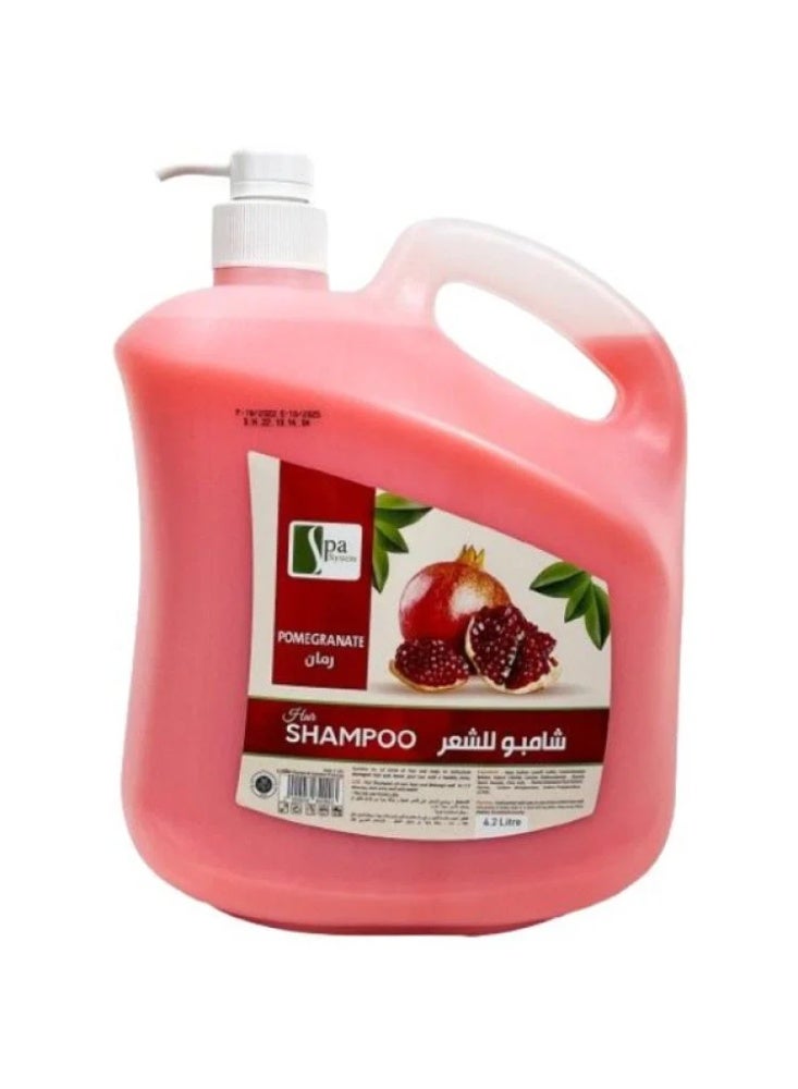 Spa System Pomegranate Shampoo  4.2L - Image 1