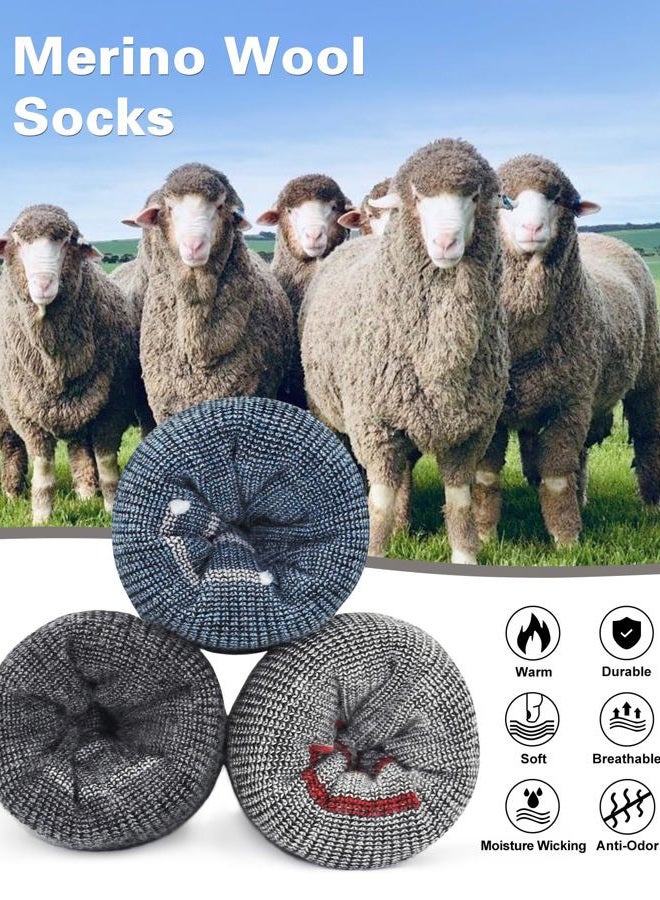 SIXDAYSOX Mens Merino Wool Hiking Socks, 2 Pack Light Weight Cushioned Crew Socks for Outdoor Trekking Cycling Size 8-12 (Blue+Dark Grey) - Image 2