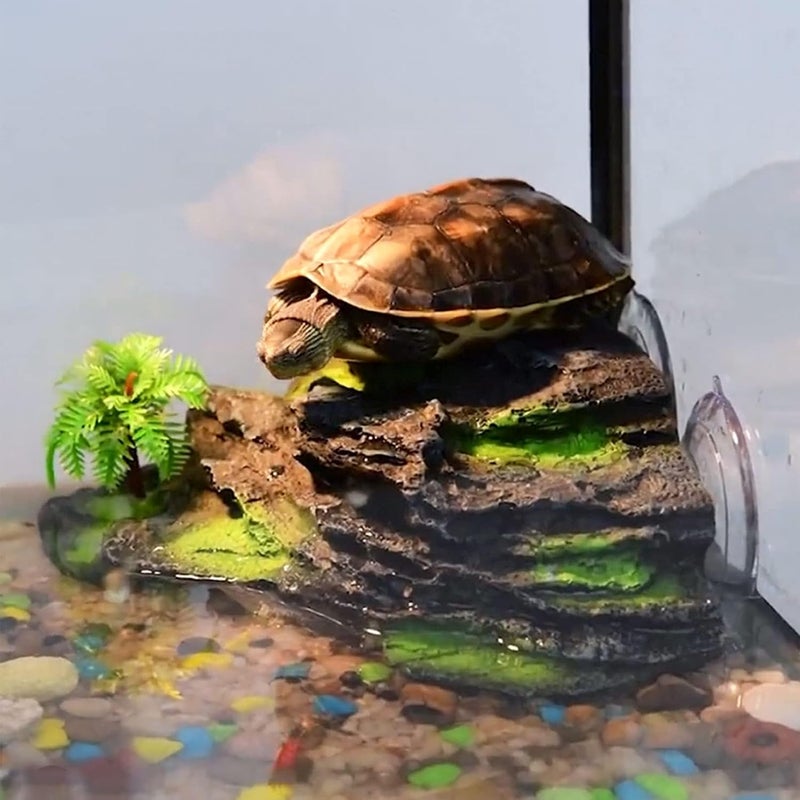 Kathson منصة تسخين السلحفاة من كاثسون مع أكواب شفط خطوة تسلق السلحفاة زينة حوض السمك صخرة رصيف السلحفاة العائمة منطقة الراحة للتسخين للبرمائيات والزواحف رمادي - Image 3