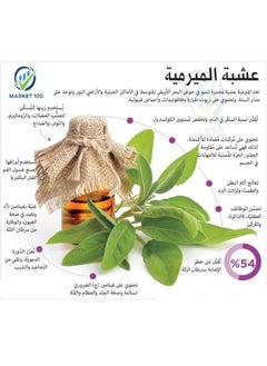 هيربز نبات المرمرية المجفف الطبيعي 100% عضوي نقي  250 جم  - Image 3