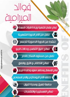 هيربز نبات المرمرية المجفف الطبيعي 100% عضوي نقي  250 جم  - Image 4