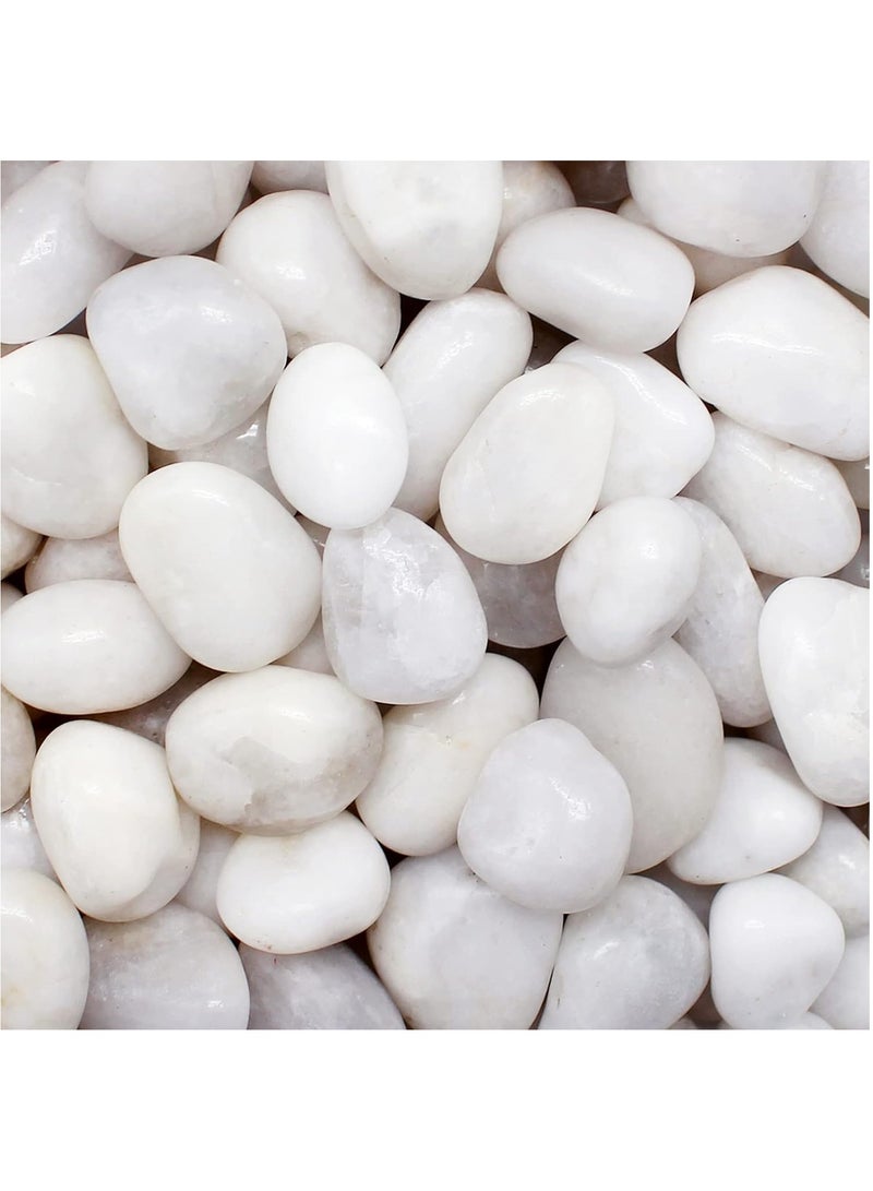 Home zone River Rock Stones Pebbles 2-3cm Natural Decorative Polished Mixed White Pebbles Gravel for Garden Plant Pots Landscaping Terrariums Vase Fillers 10lb (4.5 KG)  - Image 1