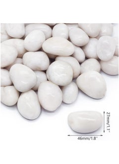 Generic River Rock Stones Pebbles 2-3cm Natural Decorative Polished Mixed White Pebbles Gravel for Garden Plant Pots Landscaping Terrariums Vase Fillers 10lb (4.5 KG)  - Image 2
