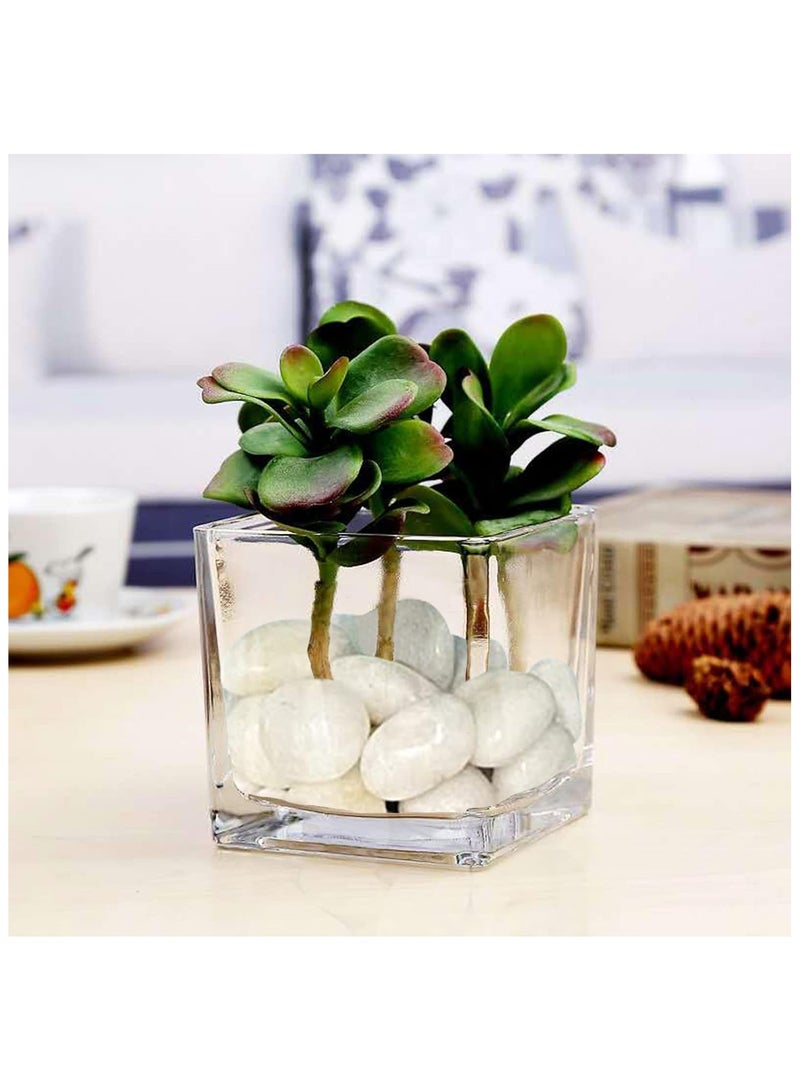 Home zone River Rock Stones Pebbles 2-3cm Natural Decorative Polished Mixed White Pebbles Gravel for Garden Plant Pots Landscaping Terrariums Vase Fillers 10lb (4.5 KG)  - Image 5
