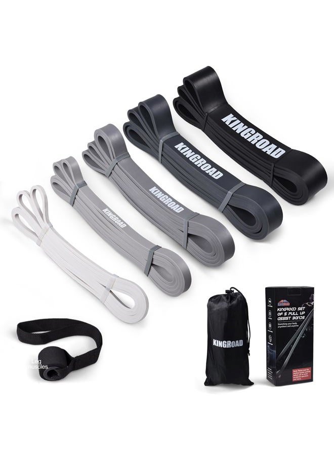 KingRoad Resistance Band Pull Up Assistance Bands,Set of 5 Resistance Heavy Duty Exercise Stretch Fitness Bands for Stretching Power Lifting Workout Training with Instruction Guide (Black Set of 5) - Image 1