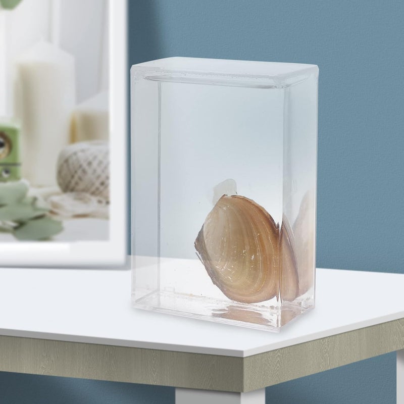 كلاراكو معدات تجربة تعليمية من كلاركو، هدية لأطفال المدارس المتوسطة، عينة من بلح البحر، أداة تعليمية، أصداف بحرية، عينة من الحفريات، علم الأحياء، عينة من بلح البحر، عينة عرض من بلح البحر، أدوات سائلة - Image 5