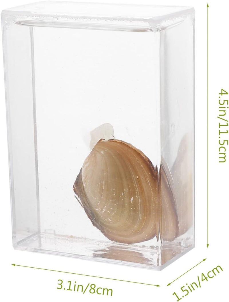 كلاراكو معدات تجربة تعليمية من كلاركو، هدية لأطفال المدارس المتوسطة، عينة من بلح البحر، أداة تعليمية، أصداف بحرية، عينة من الحفريات، علم الأحياء، عينة من بلح البحر، عينة عرض من بلح البحر، أدوات سائلة - Image 2