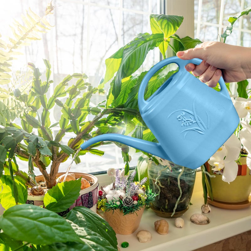 ZXJ Plant Watering Can - for Indoor and Outdoor Home Garden Plants - with Long Spout - Skye Blue - 1/2 Gallon - Image 5