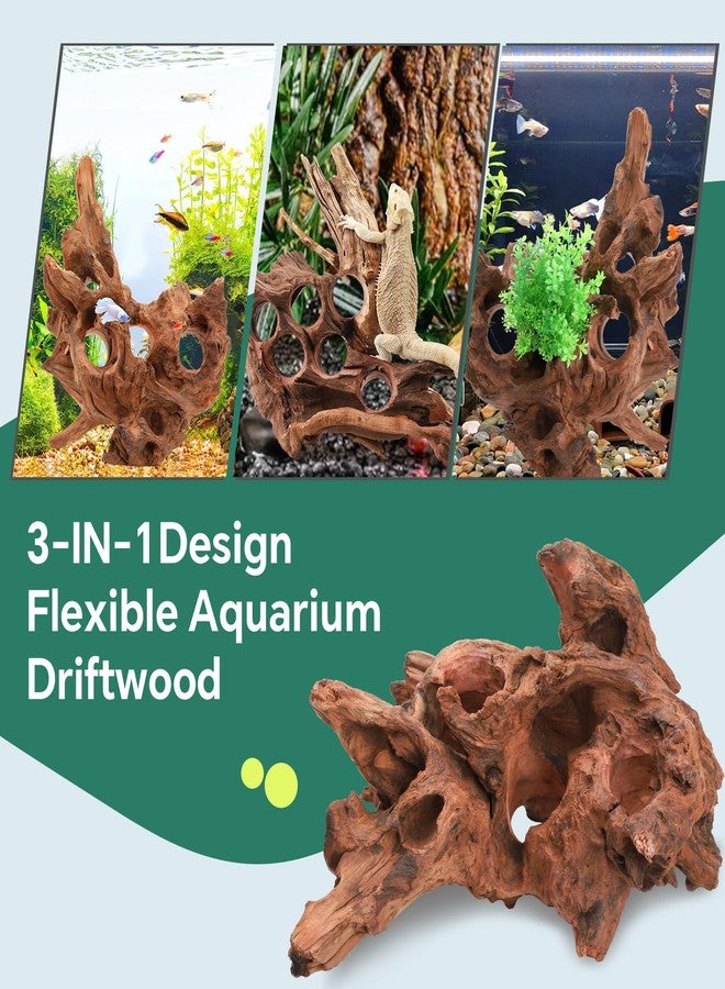 Hygger CO2 Large Driftwood for Aquarium, 10-16" Natural Driftwood Aquarium Décor Reptile Decor - Image 5