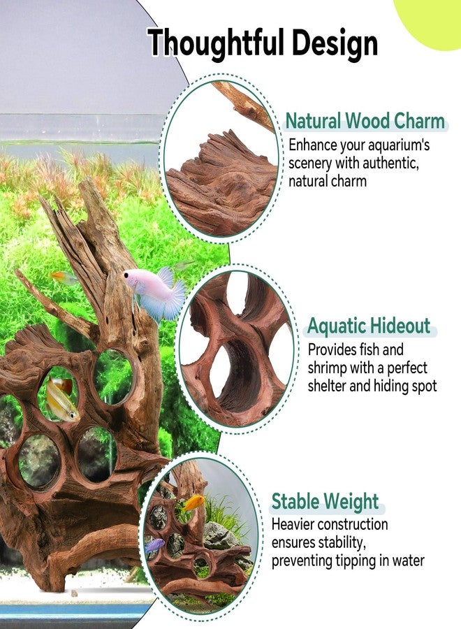Hygger CO2 Large Driftwood for Aquarium, 10-16" Natural Driftwood Aquarium Décor Reptile Decor - Image 4