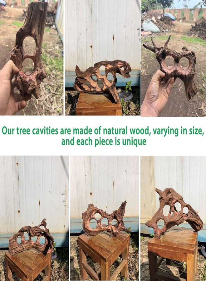 Hygger CO2 Large Driftwood for Aquarium, 10-16" Natural Driftwood Aquarium Décor Reptile Decor - Image 3