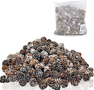 BANBERRY DESIGNS BANBERRY DESIGNS Bulk Lot of White Washed Real Pinecones - Approx. 375 Pieces (1/2 lb Bag) of Assorted Sized Pine Cones  - Image 1