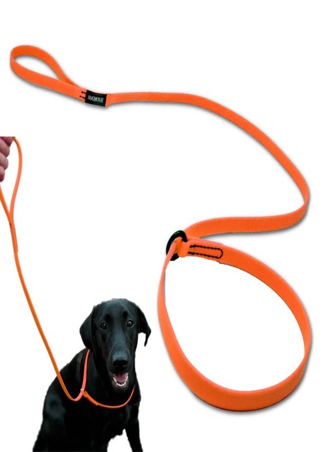 DogBone Slip Lead for Small, Medium, & Large Dogs – No Pull Lasso Style Leash & Collar for Control During Training - Waterproof & Chew Resistant Biothane Alternative - Great Size for Hiking & Travel - Image 1