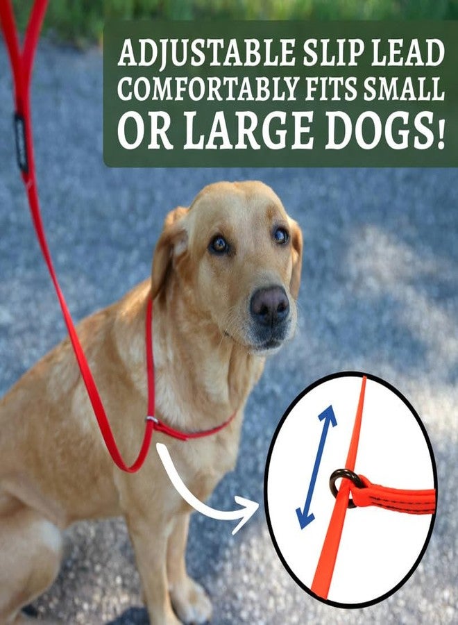 DogBone Slip Lead for Small, Medium, & Large Dogs – No Pull Lasso Style Leash & Collar for Control During Training - Waterproof & Chew Resistant Biothane Alternative - Great Size for Hiking & Travel - Image 4