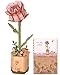 Wowood 3D Flower Wooden Puzzles for AdultsPink Rose DIY Wooden Flowers Model Kit Building Set Crafts for Adults to Build Botanical CollectionIdeal Creative Gift IdeasHousewarming 104PCS - Image 3