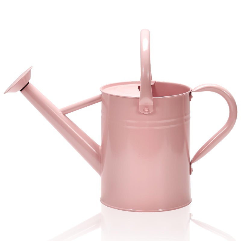 Ausluru Metal Watering Can with Removable Spout, Galvanized Watering Can, Perfect for Indoor Use and for Outdoor Use (1 Gallaon, Pink) - Image 1