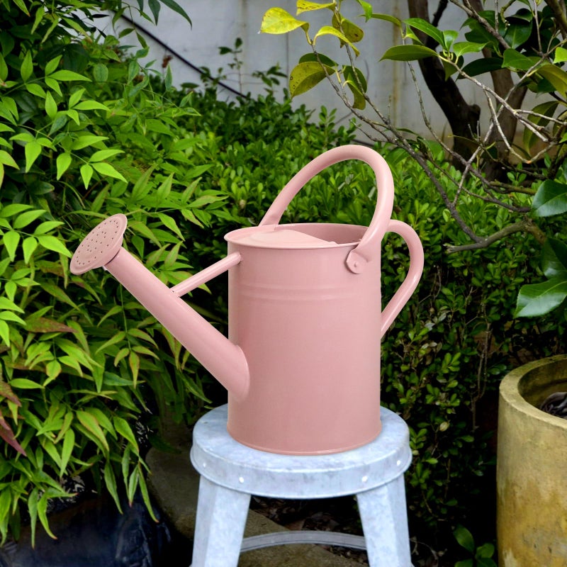 Ausluru Metal Watering Can with Removable Spout, Galvanized Watering Can, Perfect for Indoor Use and for Outdoor Use (1 Gallaon, Pink) - Image 4