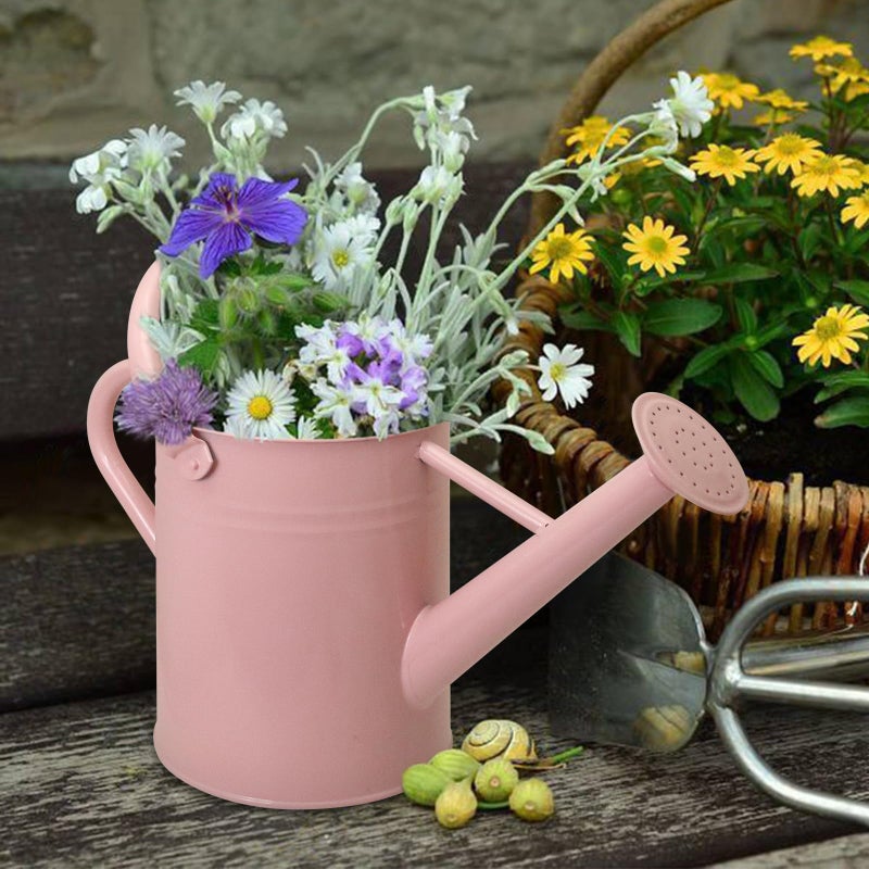 Ausluru Metal Watering Can with Removable Spout, Galvanized Watering Can, Perfect for Indoor Use and for Outdoor Use (1 Gallaon, Pink) - Image 5