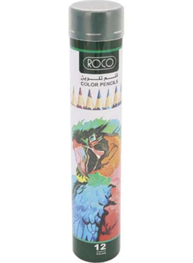 روكو مجموعة أقلام تلوين روكو متنوعة 12 قطعة - Image 1