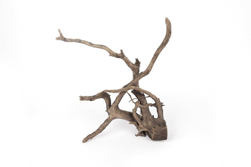 LANDEN Natural Spider Wood Aquarium Decorative Fish Tank Decorations, Driftwood Branches (12-16 Inch, XL) 4 Pcs - Image 2